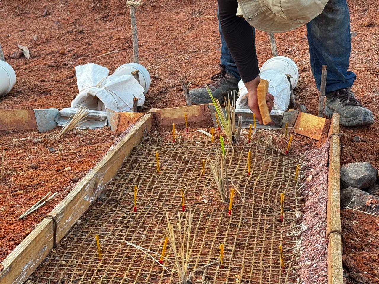 Geogrid de fibras naturais de Typha domingensis